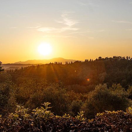 Collebrunacchi B&B San Miniato Kültér fotó